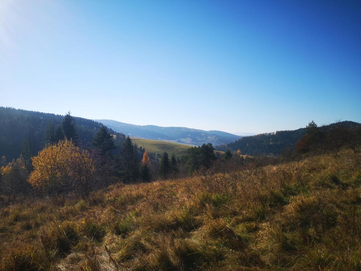 Apartamenty U Janka Krynica-Zdrój Esterno foto